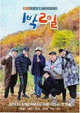 天马影视乘风破浪
